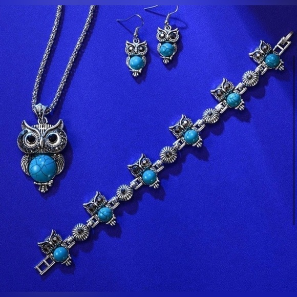 NWT-Aqua-Owl 3pc Set - Picture 4 of 5